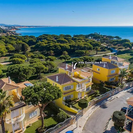 Vila Quinta Dos Bicos By